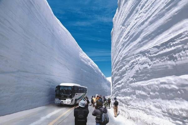 【限時限量】立山雪牆．神之鄉上高地．甜點小屋．和牛吃到飽．關西北陸5日