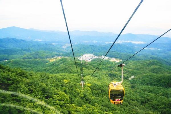 【無購物】愛玩釜慶邱.漆谷村韓服體驗.四季八公山纜車.紅白燈塔5日(早晚)