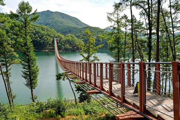 (升等一晚明洞)【花滿韓國】小法國村＋義大利小鎮、海棠鳥園、蘋果派DIY+滑道體驗、餵山羊、馬場湖水吊橋5日-CI早早(不走保肝)