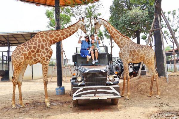 【超值曼谷】水上市場、喬德夜市、大城動物園、大城遺址、五星酒店兩晚五日