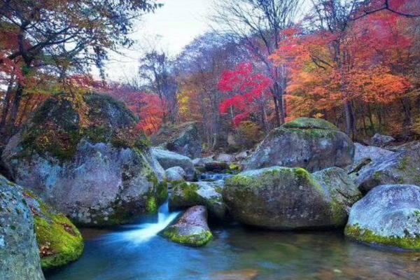 【秋韵東北】長白山享溫泉、關門山、盤錦紅海灘、頂奢四季酒店、三排椅八日