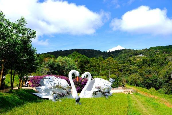 山海雙城記~芽莊跨海纜車.越式按摩.大叻觀光小火車.兩點進出輕鬆5日遊