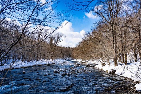 【限時限量】冬遊三景松島、小坂康樂館、手烤魚板、採果和服、東北青仙5日/BR122+171