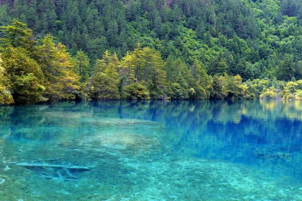 【九寨風華】劍門關、九寨溝、黃龍景區、都江堰、熊貓樂園三排椅8日