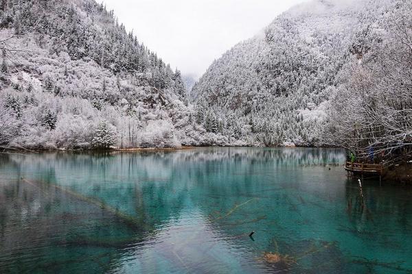 【九寨冬蘊】九寨溝、瓦屋山、鍾書閣、大熊貓、鶴鳴茶社三排椅8日