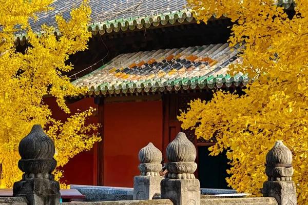 楓光京城紫禁城、銀杏大覺寺、承德、金山嶺長城、古北水鎮、蒙古歌舞餐八天