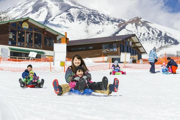 【精選】函館札幌雙夜景、企鵝玩雪忍者秀、品味和牛三大蟹、星宇満喫六日遊-JX860