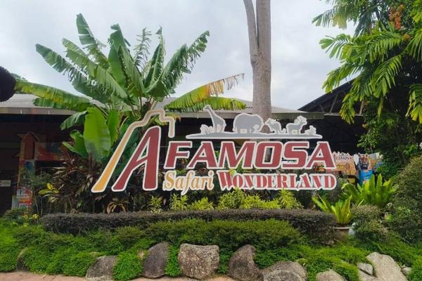 【馬航愛馬來】波德申全新飯店、野生動物園、黑風洞、斜坡滑車、米推餐6日