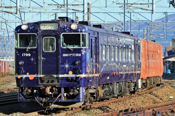 SL【北海道嬉春花舞間】漁火鐵道・櫻並木・松前公園・五陵廓粉櫻6日