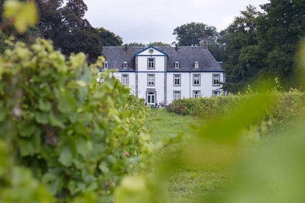 【金馬迎春】荷比｜獨家酒莊之王、布魯日、羊角村、馬斯垂克、新航10日