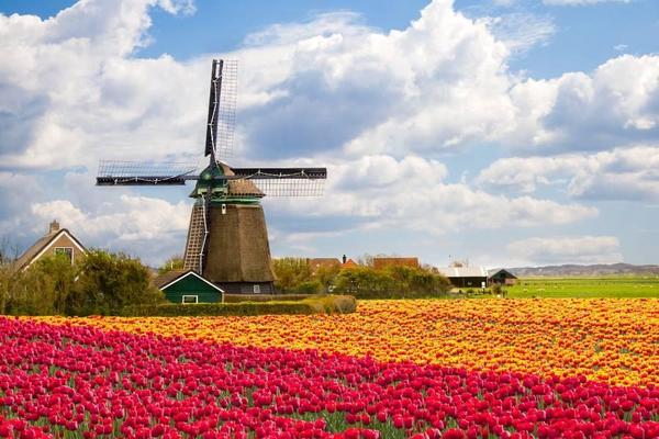 【花季超值】荷比法｜庫肯霍夫花園、羊角村三遊船、凡爾賽宮、布魯日10日