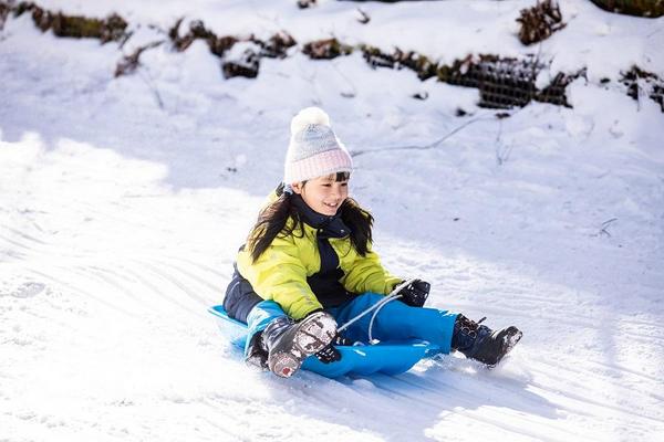 【莓戀南國戲雪】琴平溫泉．仁淀川屋形船．草莓吃到飽．石鎚山戲雪６日