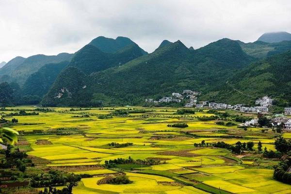 【金黃貴州】羅平、萬峰林油菜花、黃果樹瀑布、花江峽谷大橋、苗服體驗8日