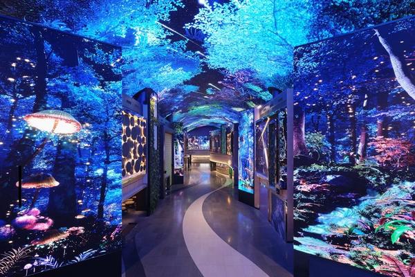 (卡228)【寒假韓國大放送】韓劇益善洞、普羅旺斯、神秘臨津閣、米其林饗宴5日