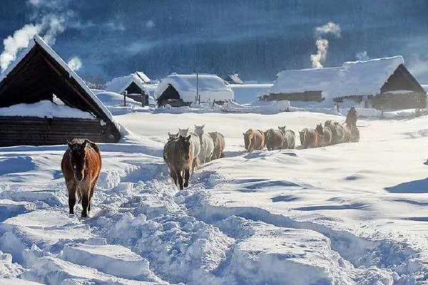 冬季牧歌、遊冰雪伊犁、賞賽里木湖藍冰、滑雪、泡溫泉 童話北疆8日