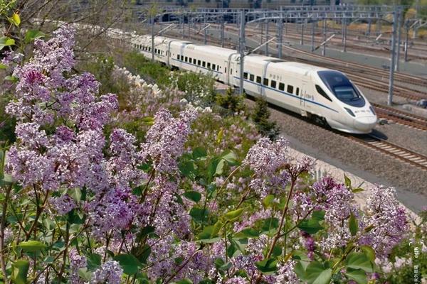 【春風飄香搭乘高鐵】北京紫禁城、長城、紫色花海哈爾濱、伏爾加莊園八日