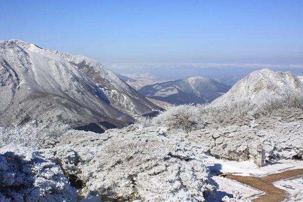 【精選九州5日】霧冰別府纜車・動物園探險・海地獄×金鱗湖・兩晚溫泉(中華CI116/117)