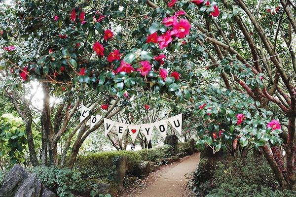 跟著韓劇玩濟州~海女博物館.四季賞花.油菜花田.童話村.韓服體驗5日(一站彩妝)