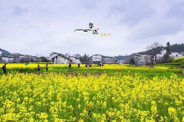 花現江西婺源、食味贛菜、懸崖仙境望仙谷、三排椅、升等南潯希爾頓酒店八日