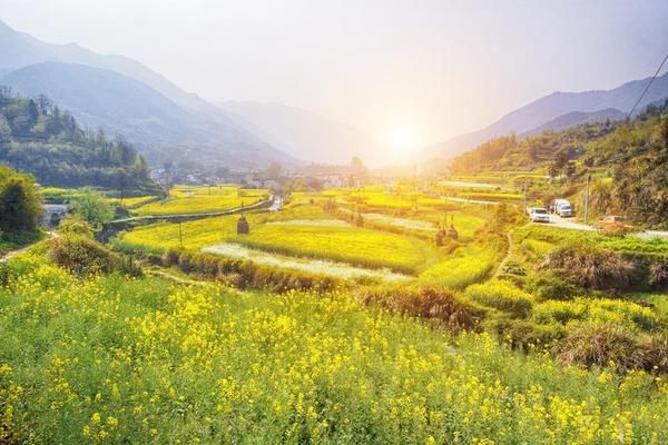 【春漫油菜花海】江西婺源、璀璨葛仙村、弦高古城賞夜景、徽派西遞村六日
