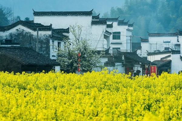 【春漫油菜花海】江西婺源、璀璨望仙谷、靈山登山手扶電梯、龍虎山八日