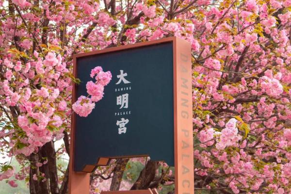 【搭乘高鐵穿越千年雙帝都】北京皇城春景、西安古都花事、古宴大秦小宴八天