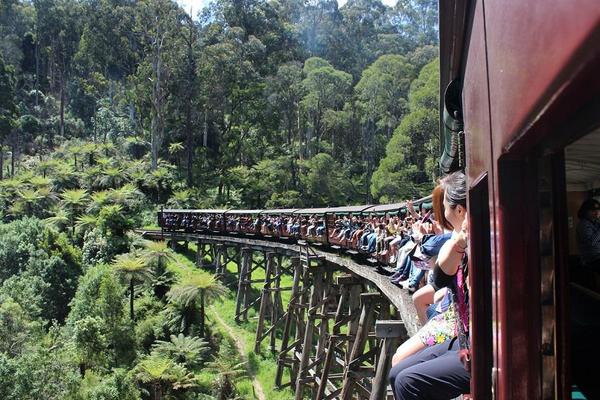 【驚奇墨爾本】絕美大洋路、森林火車、瑪露動物園、搖擺小企鵝、酒莊7日
