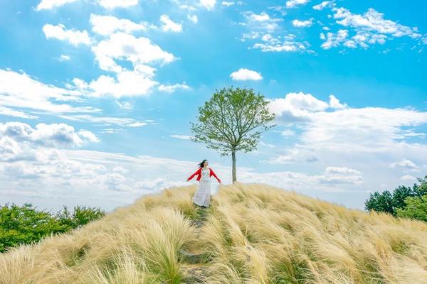 【歡慶65周年】濟州買一送一～海景鞦韆咖啡.植物園足浴.夢幻繡球花5日(LJ)