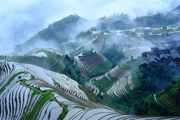 【世外桃源】龍脊梯田、船遊漓江、如意峰、銀子岩、夜船遊四湖、珠桂6日