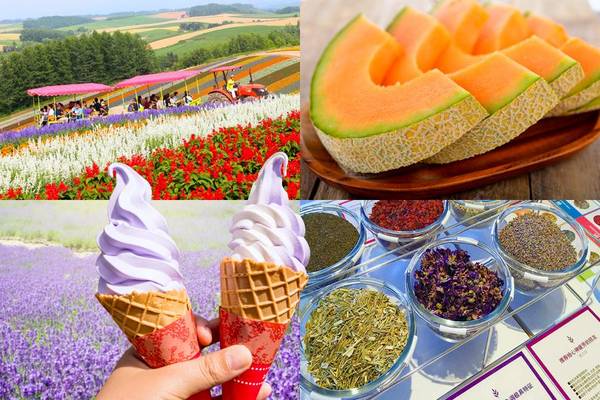【限時限量激安北海道】洞爺煙火、富田農場、花田散策、小樽漫遊、三大蟹-BR166