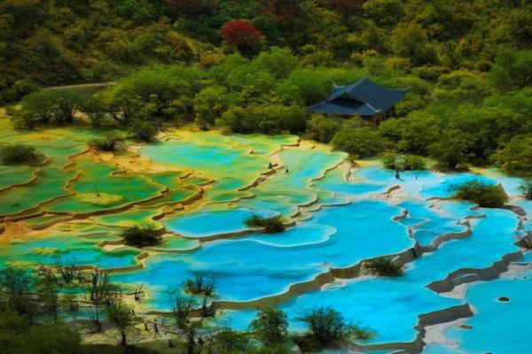 【澳享九寨溝】黃龍景區、九寨溝風景區 、樂山大佛遊船、體驗蓋碗茶8日