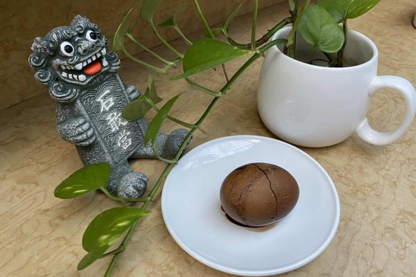 【金門】金門手作 | 風獅爺帆布袋彩繪DIY ∙ 藥膳蛋套餐 | 雙鯉湖自然中心咖啡廳