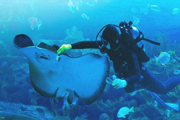 【泰國】普吉水族館門票 Aquaria Phuket Ticket