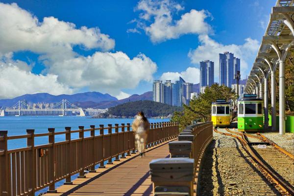 【韓國】釜山海雲台藍線公園海岸列車・天空膠囊列車票