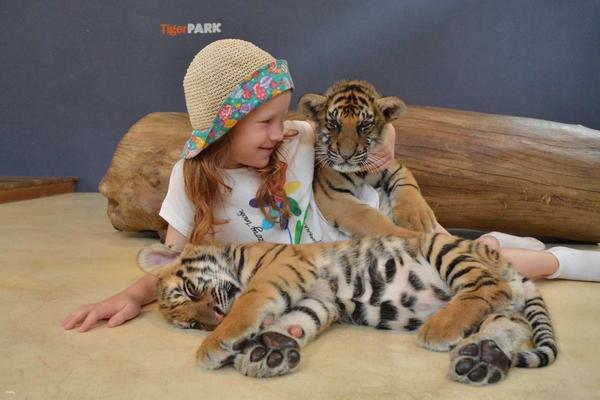 【泰國】芭達雅老虎園門票