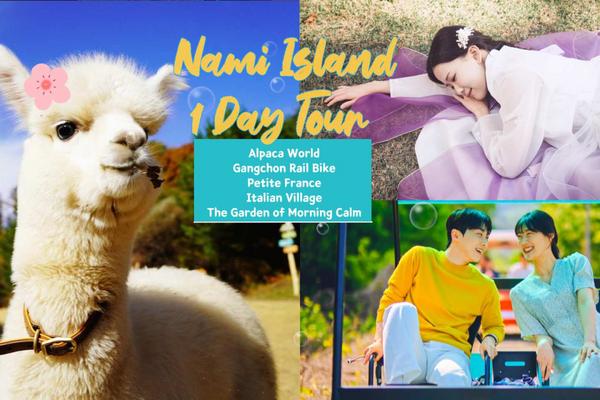 【韓國】南怡島、小法國村、義大利村、晨靜樹木園、鐵道自行車、羊駝牧場、韓服體驗 ｜首爾近郊一日遊自選行程