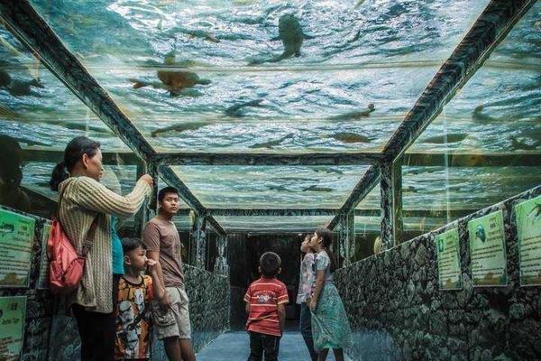 【泰國】芭達雅怪獸水族館｜門票