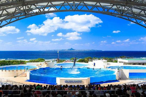 【日本】沖繩北部一日遊（那霸・北谷出發)｜萬座毛・古宇利島・美麗海水族館・美國村｜中文導遊&贈送全程景點門票