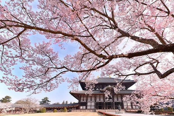 【日本】關西一日遊｜有馬溫泉  三田Outlet  奈良公園  東大寺 ｜大阪出發