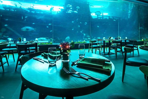 【菲律賓】宿霧海洋公園的水底餐廳 (Aqua Dining) ：魔幻海底用餐體驗