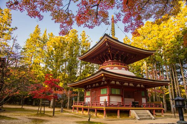 【日本】和歌山一日遊｜世界遺産高野山＆和歌山貓站長＆黑潮市場（大阪出發）