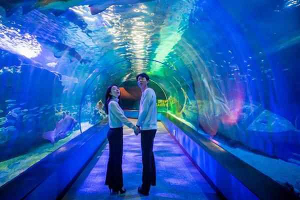 【韓國】釜山必訪人氣景點｜ SEA LIFE 釜山水族館門票