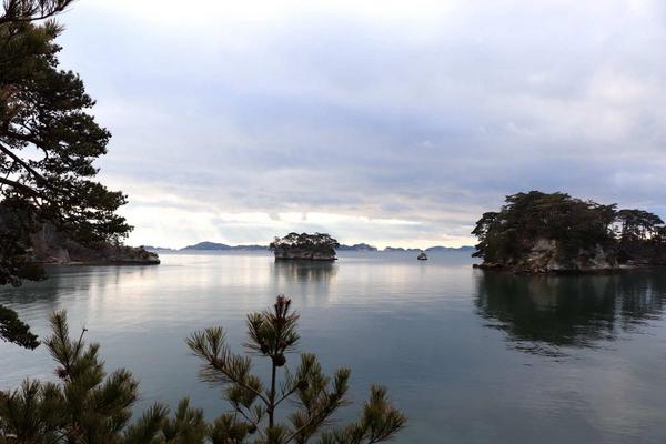 【日本】宮城仙台｜藏王狐狸村、日本三景松島拼車一日遊 ｜仙台站出發