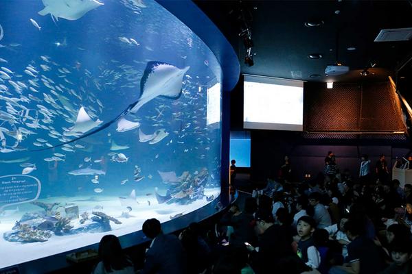 【韓國】大邱愛來水族館(親子首選】 |需購買一小時後方可入場