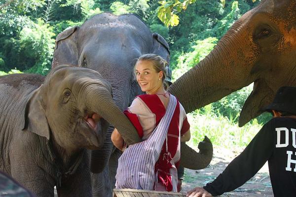 【清邁】大象保育體驗 |Kerchor 大象生態公園半日 & 全日遊