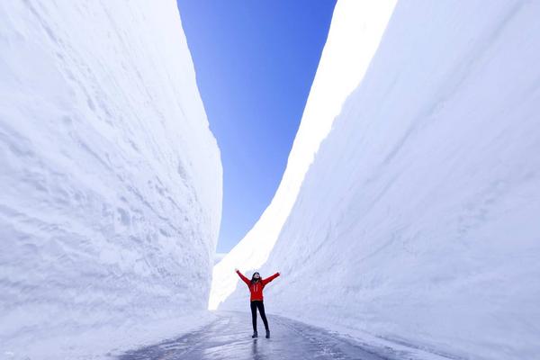 【日本】黑部立山雪牆2日遊  | 富士山河口湖& 上高地健行&雪之大谷 【新宿出發】
