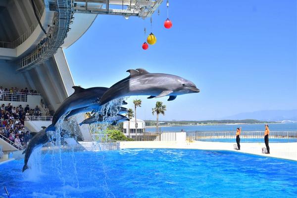 【日本】九州福岡│海之中道水族館 MARINE WORLD│門票
