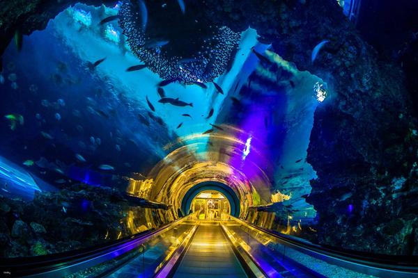 【屏東】國立海洋生物博物館(海生館)門票