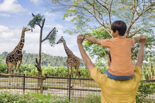 【新加坡】萬態野生動物世界｜門票