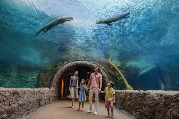 【新加坡】河川生態園｜門票